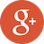 Google+